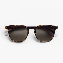 Load image into Gallery viewer, Barner Sun Glasses/ DALSTON Glossy - Tortoise