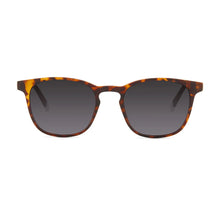 Load image into Gallery viewer, Barner Sun Glasses/ DALSTON - Tortoise
