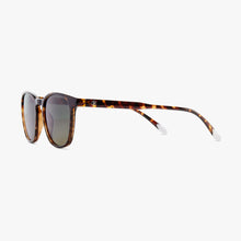 Load image into Gallery viewer, Barner Sun Glasses/ DALSTON Glossy - Tortoise
