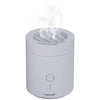 Hornet Portable Electric Incense