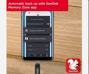 SANDISK®  Dual Drive Go USB Type C -256 GB